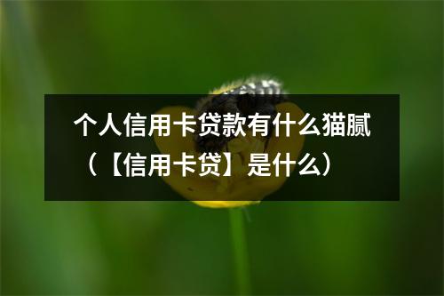个人信用卡贷款有什么猫腻（【信用卡贷】是什么）