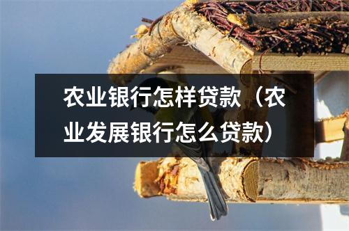 农业银行怎样贷款（农业发展银行怎么贷款）