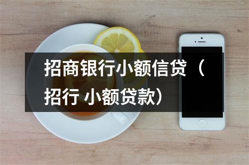 招商银行小额信贷（招行 小额贷款）