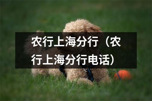 农行上海分行（农行上海分行电话）