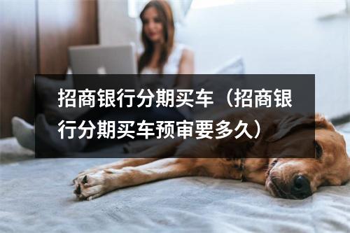 招商银行分期买车（招商银行分期买车预审要多久）