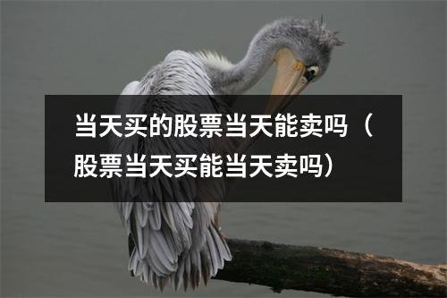 当天买的股票当天能卖吗（股票当天买能当天卖吗）