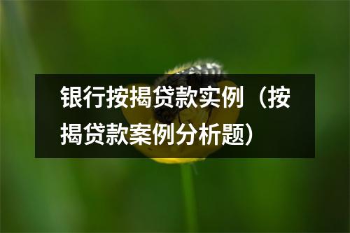 银行按揭贷款实例（按揭贷款案例分析题）