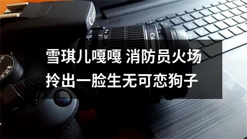 雪琪儿嘎嘎 消防员火场拎出一脸生无可恋狗子