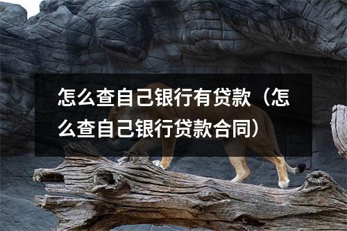 怎么查自己银行有贷款（怎么查自己银行贷款合同）