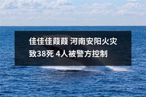 佳佳佳葭葭 河南安阳火灾致38死 4人被警方控制