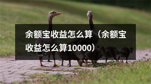 余额宝收益怎么算（余额宝收益怎么算10000）