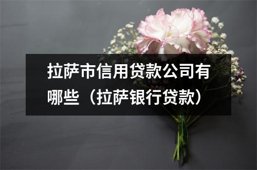 拉萨市信用贷款公司有哪些（拉萨银行贷款）