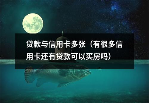 贷款与信用卡多张（有很多信用卡还有贷款可以买房吗）