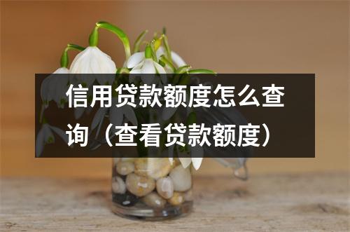 信用贷款额度怎么查询（查看贷款额度）