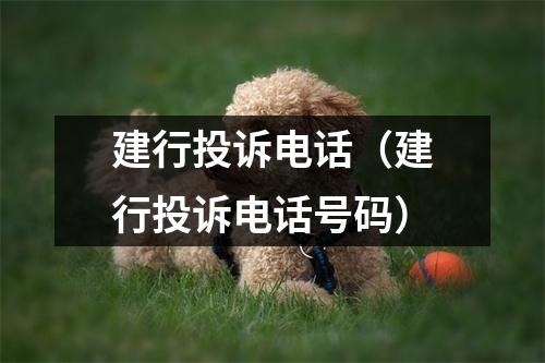 建行投诉电话（建行投诉电话号码）