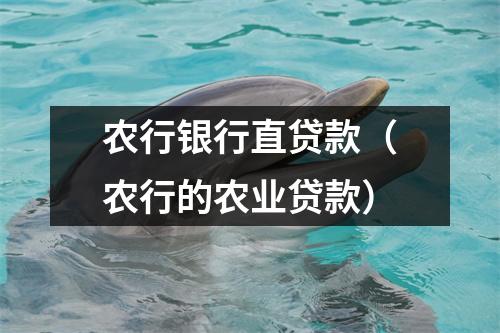 农行银行直贷款（农行的农业贷款）