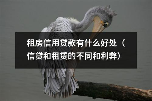 租房信用贷款有什么好处（信贷和租赁的不同和利弊）