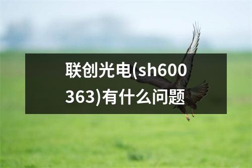 联创光电(sh600363)有什么问题