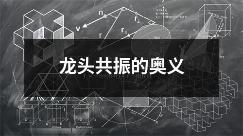 龙头共振的奥义