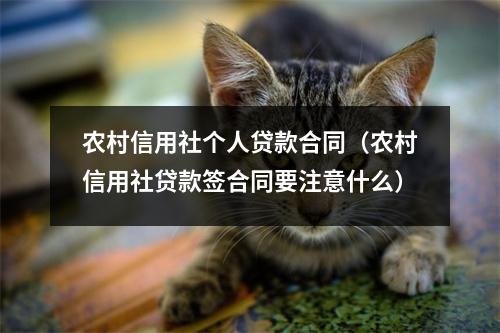 农村信用社个人贷款合同（农村信用社贷款签合同要注意什么）