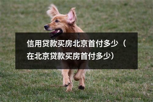 信用贷款买房北京首付多少（在北京贷款买房首付多少）