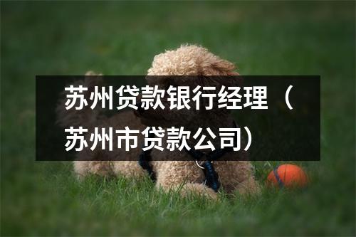 苏州贷款银行经理（苏州市贷款公司）