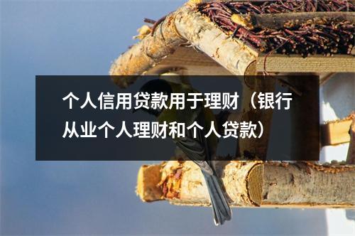 个人信用贷款用于理财（银行从业个人理财和个人贷款）