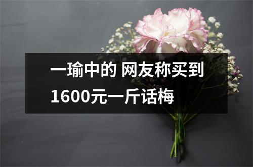 一瑜中的 网友称买到1600元一斤话梅