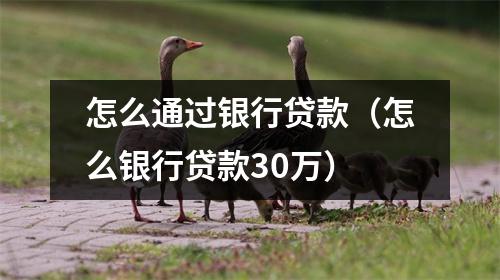 怎么通过银行贷款(怎么银行贷款30万)