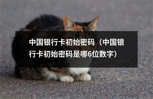 中国银行卡初始密码(中国银行卡初始密码是哪6位数字)