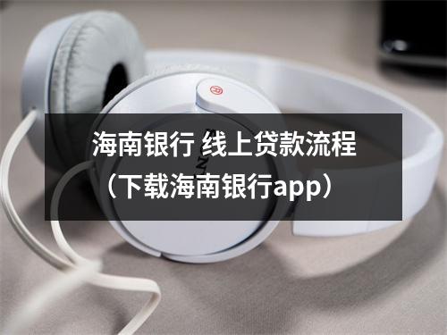 海南银行 线上贷款流程（下载海南银行app）