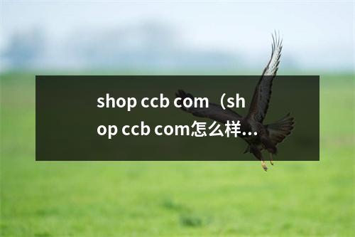 shop ccb com（shop ccb com怎么样）
