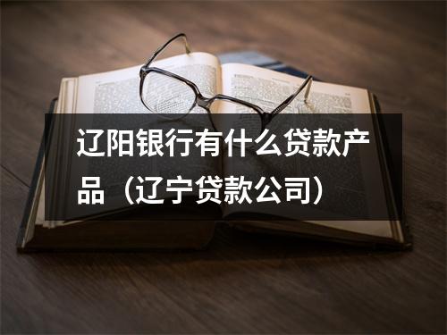 辽阳银行有什么贷款产品(辽宁贷款公司)