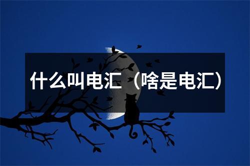 什么叫电汇（啥是电汇）
