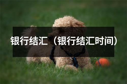 银行结汇（银行结汇时间）