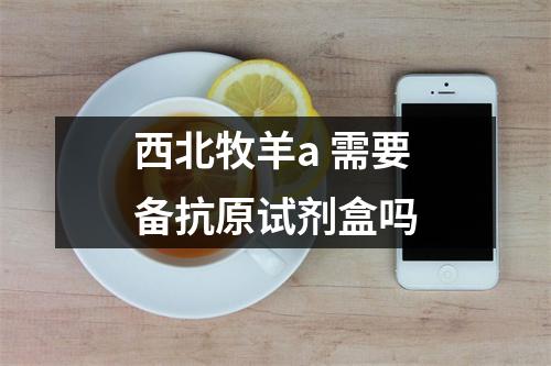 西北牧羊a 需要备抗原试剂盒吗