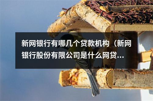 新网银行有哪几个贷款机构（新网银行股份有限公司是什么网贷）