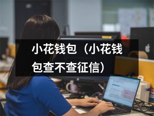 小花钱包（小花钱包查不查征信）