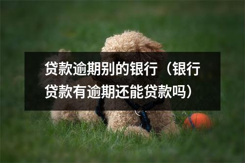 贷款逾期别的银行（银行贷款有逾期还能贷款吗）
