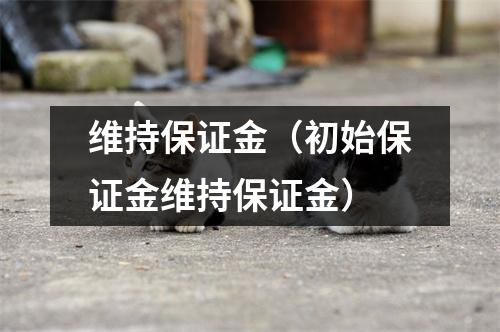 维持保证金（初始保证金维持保证金）