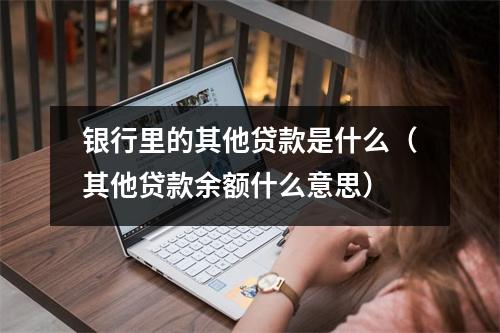 银行里的其他贷款是什么（其他贷款余额什么意思）