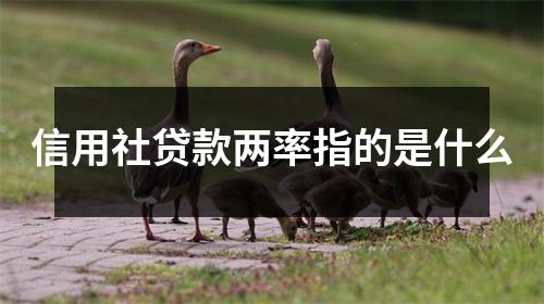 信用社贷款两率指的是什么