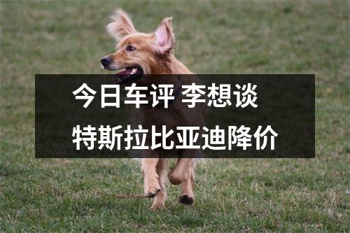 今日车评 李想谈特斯拉比亚迪降价