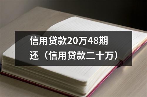 信用贷款20万48期还（信用贷款二十万）