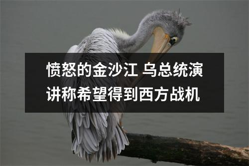 愤怒的金沙江 乌总统演讲称希望得到西方战机