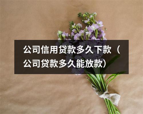 公司信用贷款多久下款（公司贷款多久能放款）