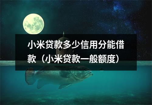 小米贷款多少信用分能借款(小米贷款一般额度)