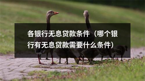 各银行无息贷款条件（哪个银行有无息贷款需要什么条件）