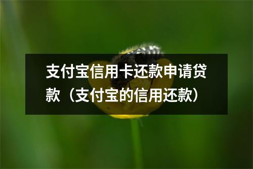 支付宝信用卡还款申请贷款（支付宝的信用还款）