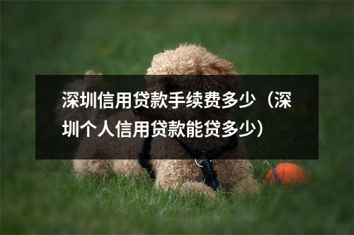 深圳信用贷款手续费多少（深圳个人信用贷款能贷多少）