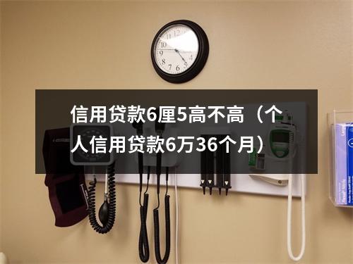 信用贷款6厘5高不高（个人信用贷款6万36个月）