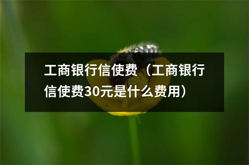 工商银行信使费（工商银行信使费30元是什么费用）