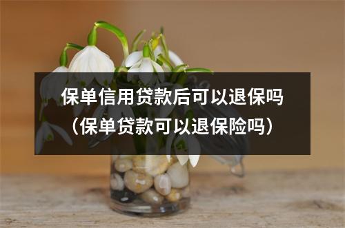 保单信用贷款后可以退保吗(保单贷款可以退保险吗)