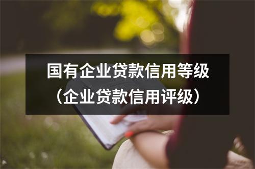 国有企业贷款信用等级（企业贷款信用评级）